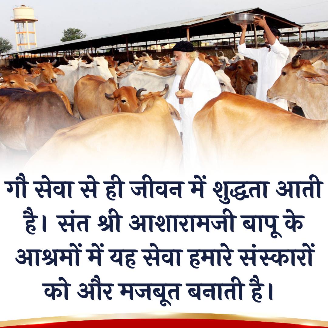 संत श्री आशारामजी आश्रम आध्यात्मिक ऊर्जा से भरपूर है। यहां आने मात्र से Inner Peace मिलती है, इसलिए सभी सनातनियों का कर्तव्य है कि Preserve Culture करें और आध्यात्मिक उन्नति के इस केंद्र को बचाने के लिए आवाज़ उठाएं, जो आज खतरे में है।
Selfless Services
#SaveAsharamjiAshram