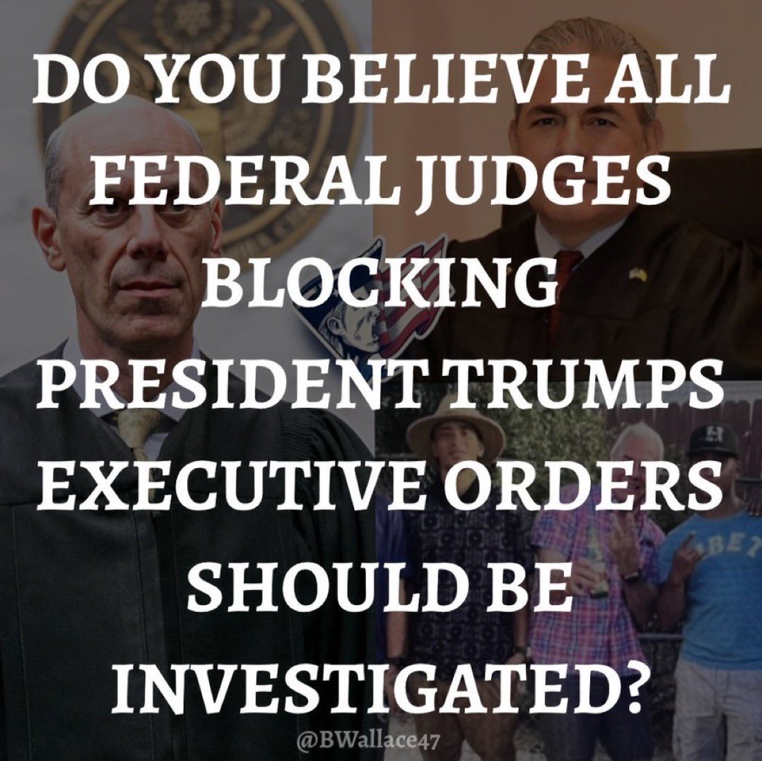 MAGA Voice tweet media