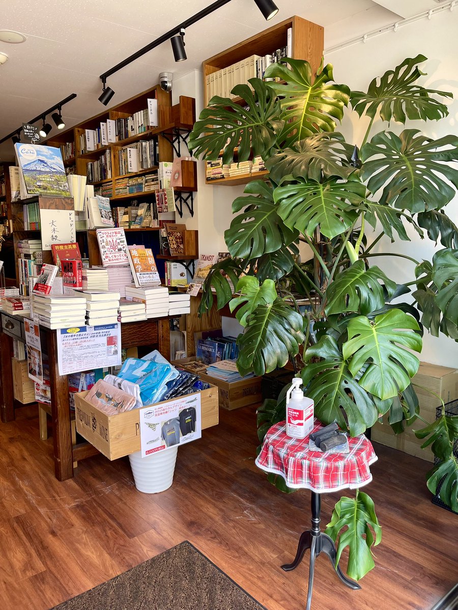 Books&Cafeドレッドノート/株式会社鈴木商会 (@suzukitaitou) / X Books&Cafeドレッドノート/株式会社鈴木商会 (@suzukitaitou) / X