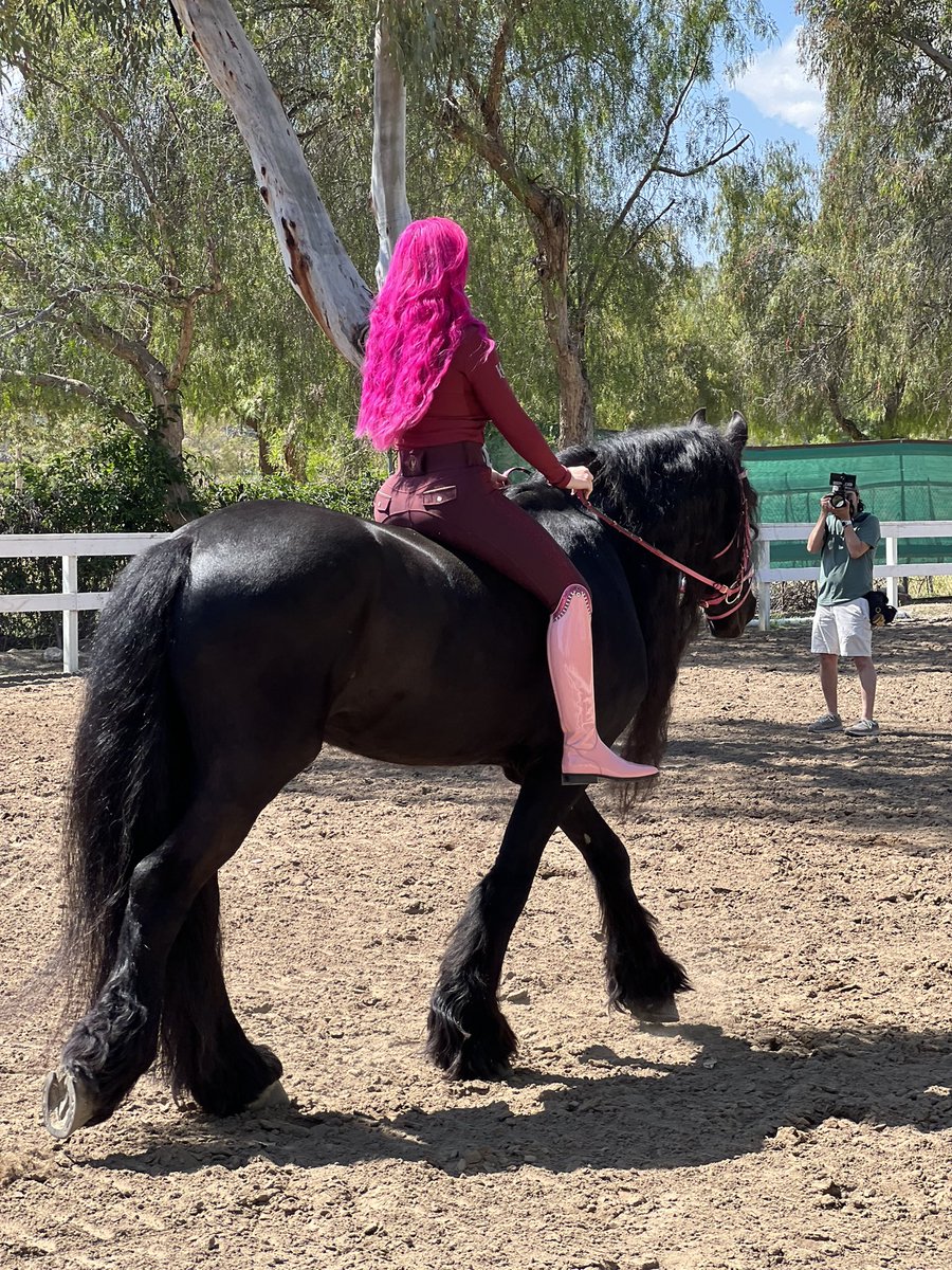 Photoshoot with my Friesian boy Tinus today 😍 

ahhh he looks like a carousel horse with his mane like this