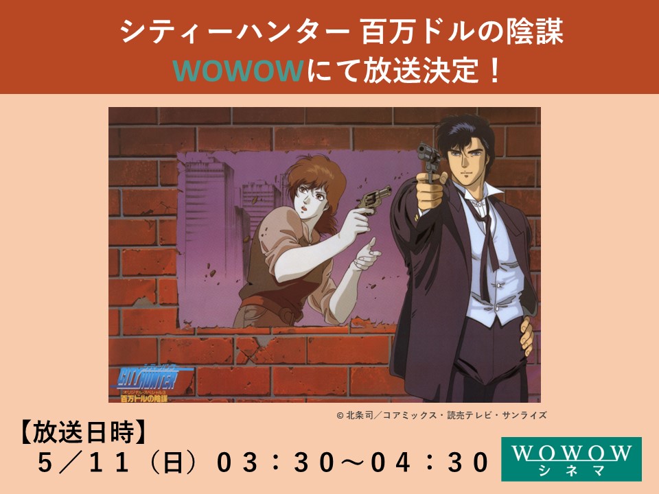 シティーハンター オリジナルスペシャル 百万ドルの陰謀