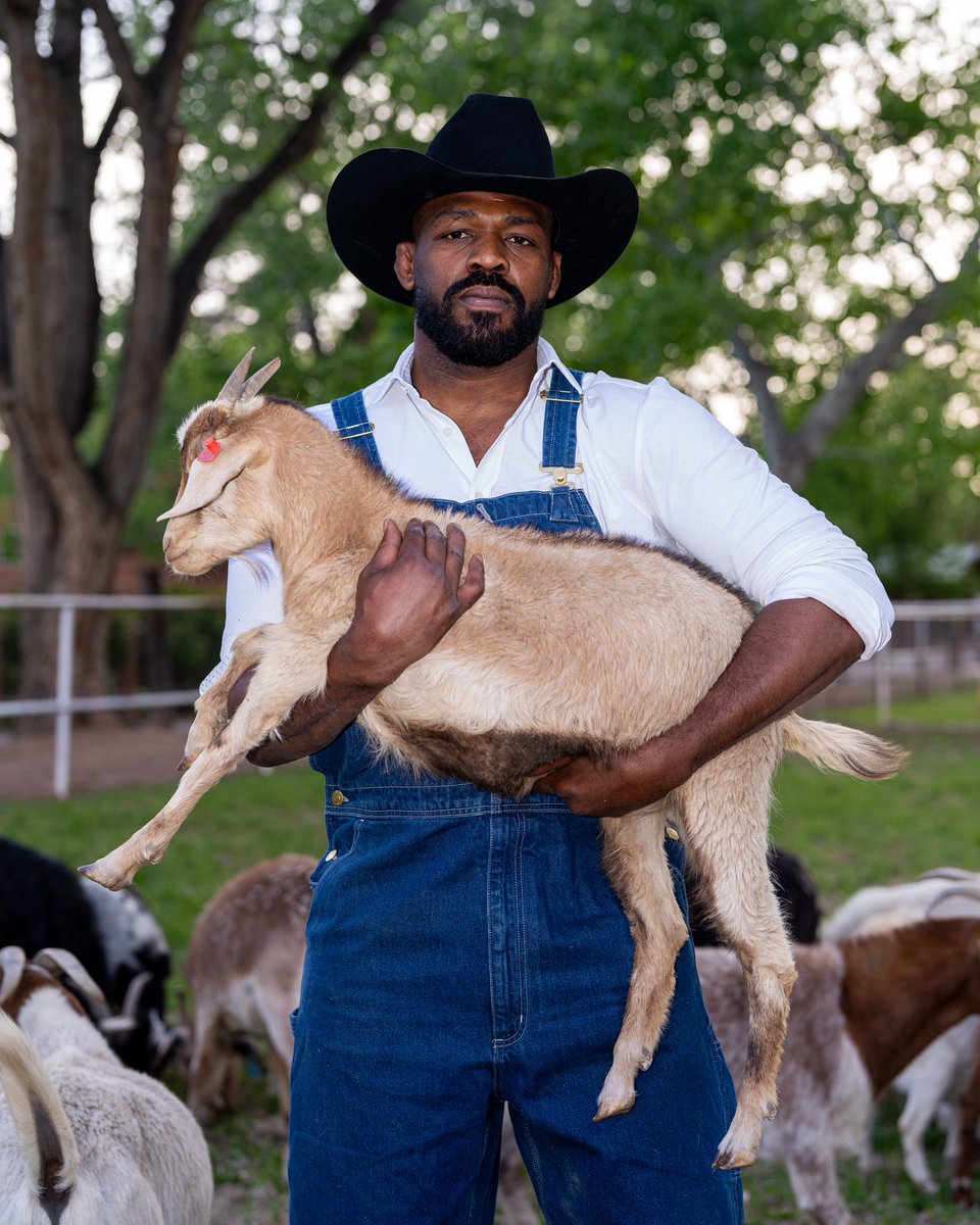 Jonny Meat tweet media