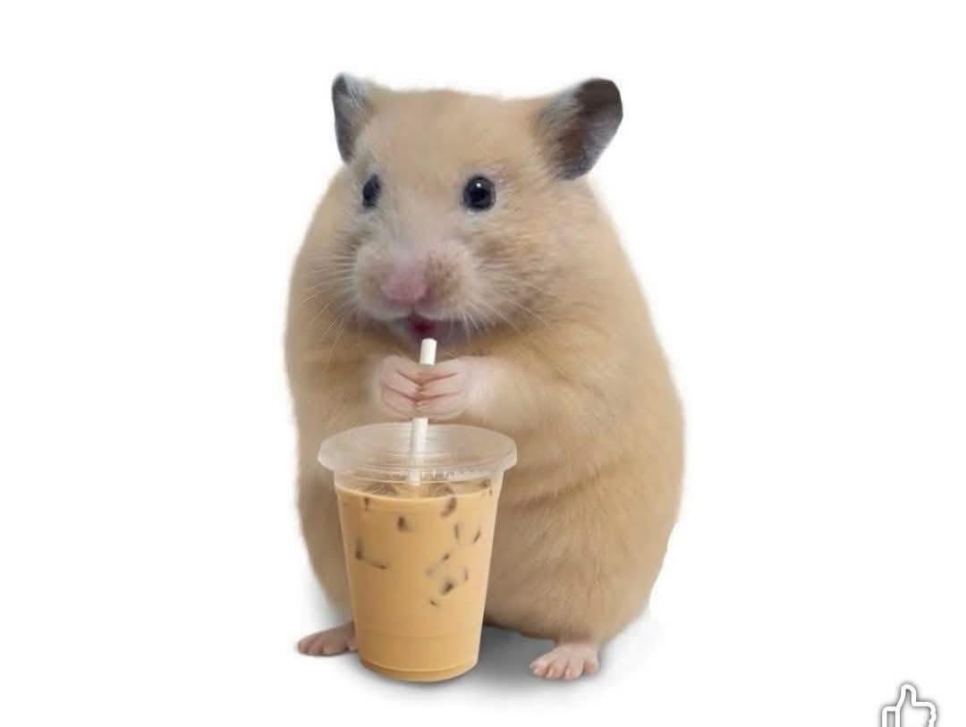 Javisness's tweet photo. mi café frío y yo contra el mundo https://t.co/XyUliQUONx