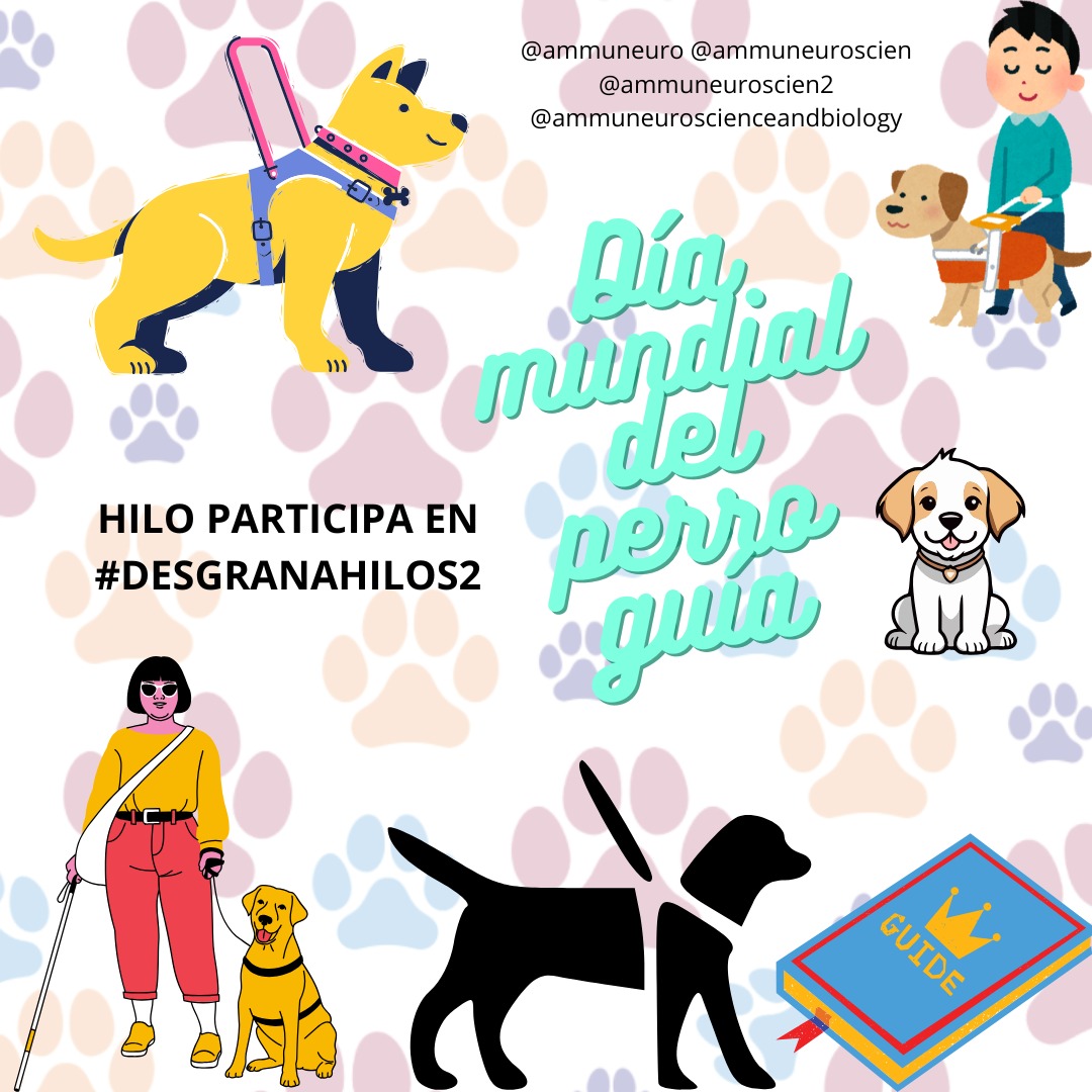 Ammu Neuroscience🧠&Biology👩‍🔬DivulciCup21🏆 tweet media