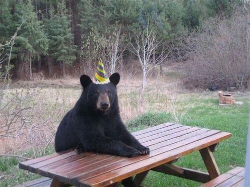 20… 🎂🎈