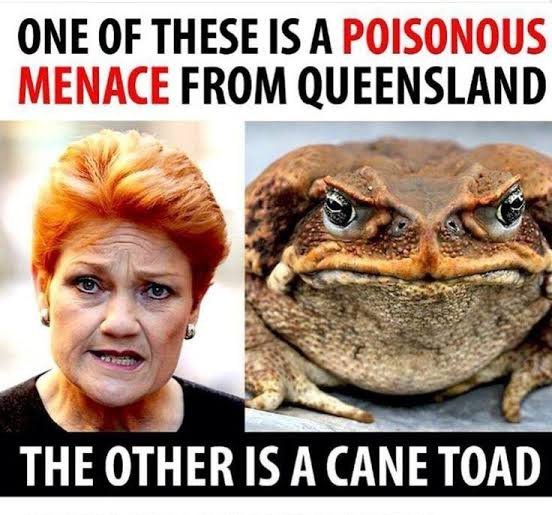 MavrosAll's tweet photo. @Peter_Fitz #LNPC https://t.co/SrHtA7sXej