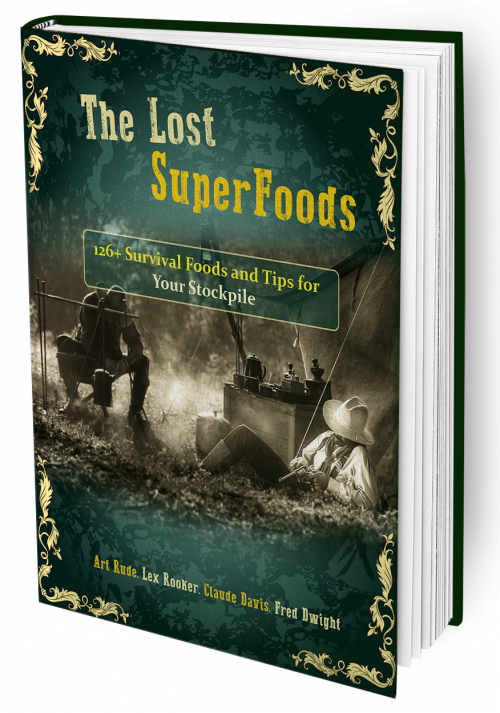 The Lost Super Foods. ultimatesurvivalfoods.com/book/#aff=daya…
.
#superfood #healthyfood #vegan #healthylifestyle #healthy #organic #superfoods #plantbased #food #nutrition #health #healthyeating #fitness #healthyliving #natural #wellness #foodie #antioxidants #veganfood #detox