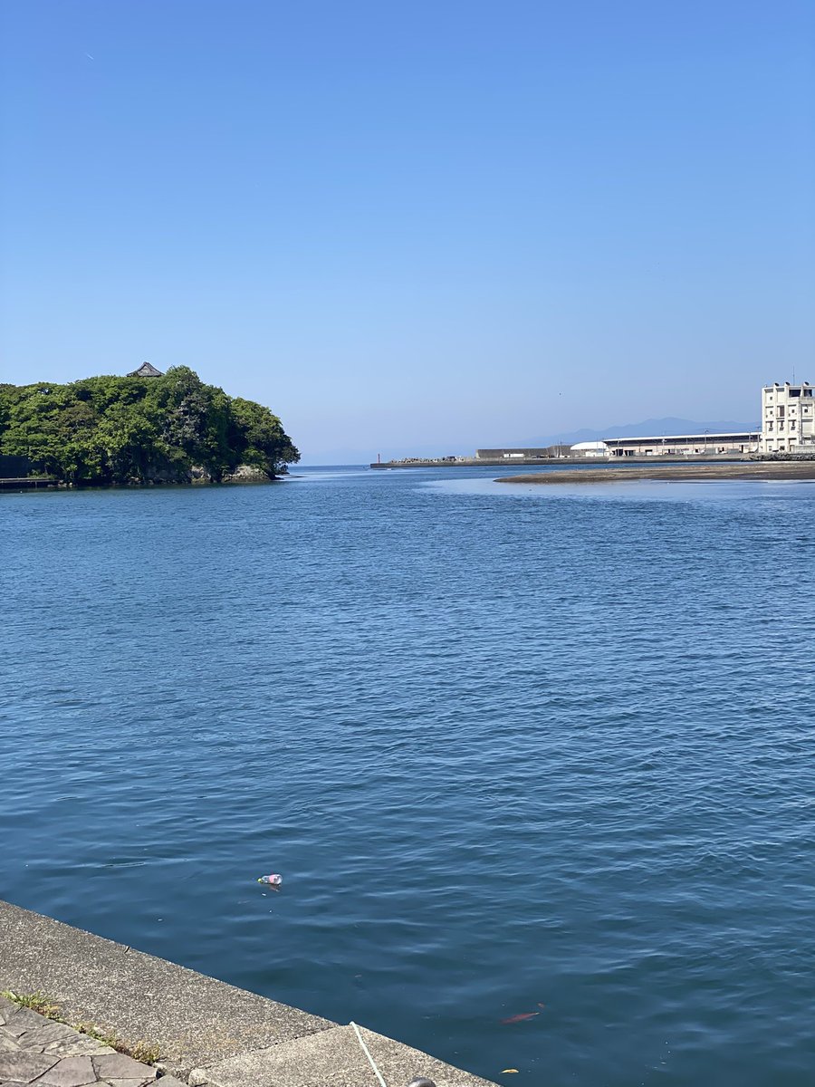 calico_e_c's tweet photo. 本日ハ晴天ナリ https://t.co/r5RepMHHDj