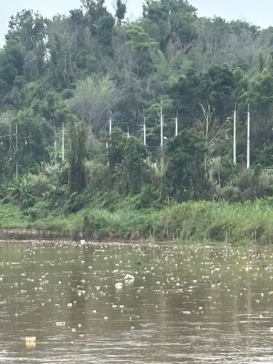 John Roberts tweet media