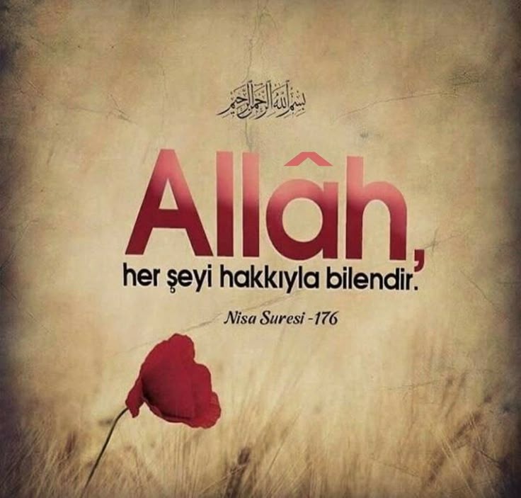 Esselamu Aleykum.. 
Yüce Allah (c.c) şöyle buyurmaktadır:
"Ey âdemoğlu!
Tövbede kusurlu davranıp emelini uzun tutanlardan olma! Amel etmeden âhiret
saadetini bekleyen, âbidlerin sözlerini söyleyip münafıkların amellerini
yapanlardan da olma!
KUDSİ HADİS