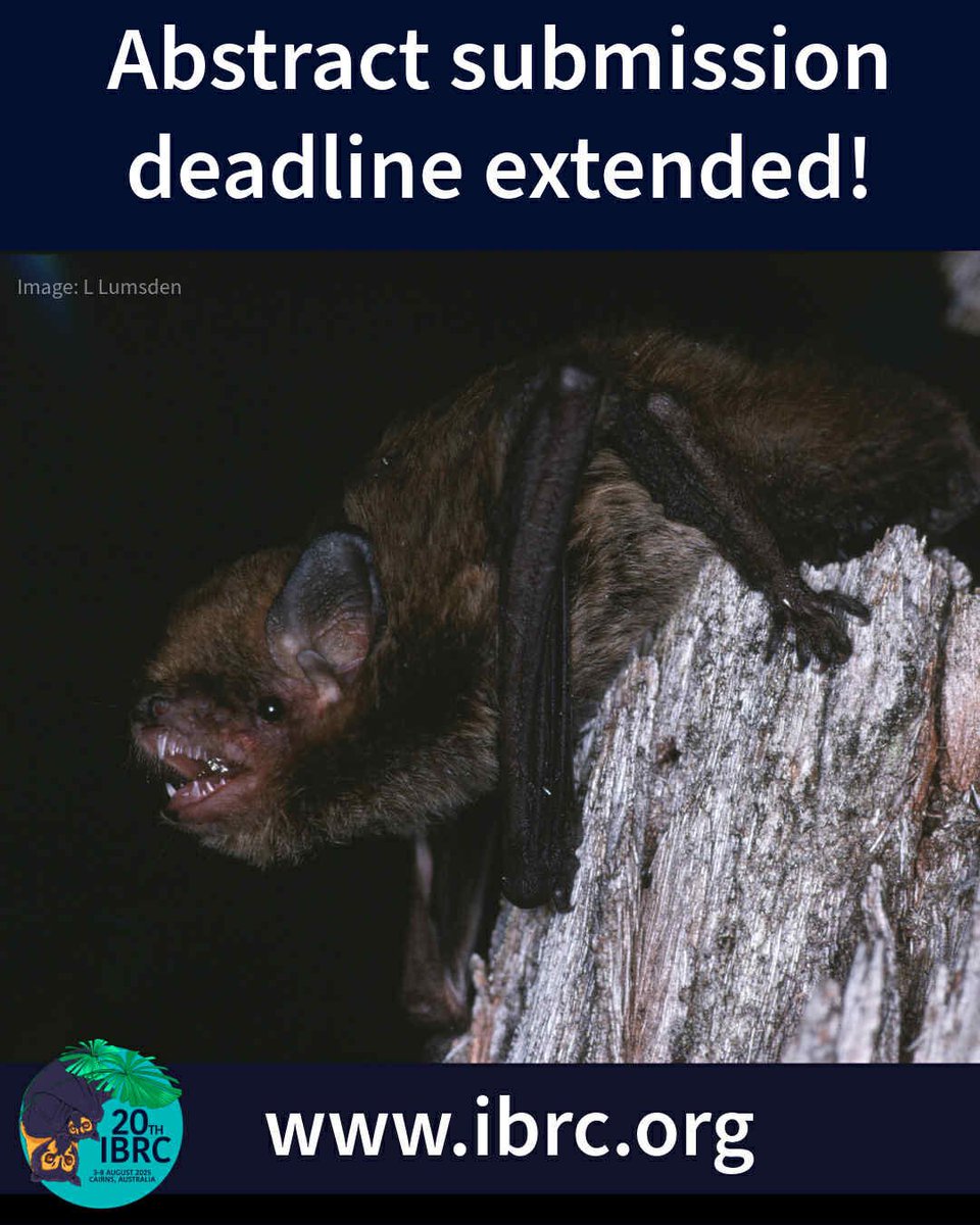 IBRC abstract submission deadline extended until 14 May 2025!
Submit your abstracts here:
ibrc.org/call-for-abstr…
#ibrc2025 #bats #batresearch