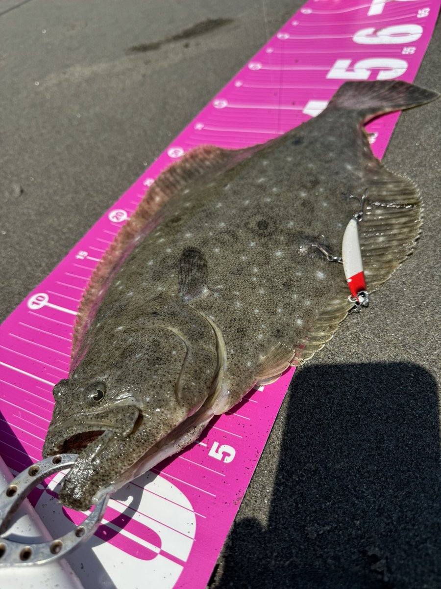 スレだけど2枚目😍