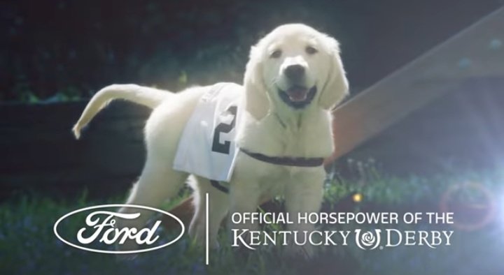 KeriStevensReal's tweet photo. @FallonTonight @Ford Awww. Sovereignty.
#FordPartner
#FallonTonight https://t.co/cIa11YJtA3