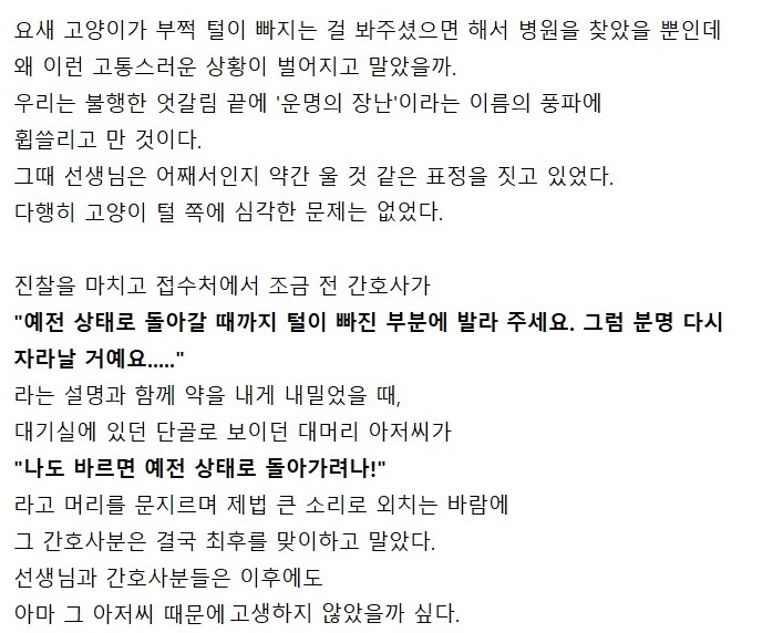고양이 진찰받으러 갔다가 울 뻔한 이야기
