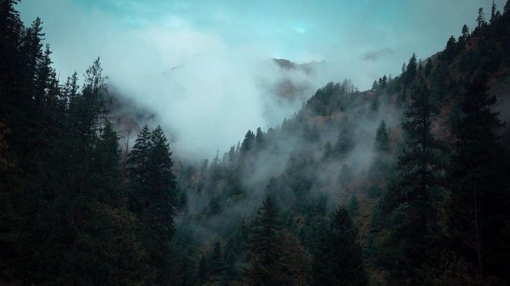 ㅤ  ㅤ        ㅤ       
ㅤ  ㅤ    .𝟷𝟿𝟿𝟽
ㅤ  ㅤ        ㅤ
ㅤ Numa floresta gélida do Alasca, ao pálido alvorecer de um dia, cujo a data específica não se tem mais registros, um grupo de caçadores de uma aldeia local, perdidos sob a luz da lua que se despedia,