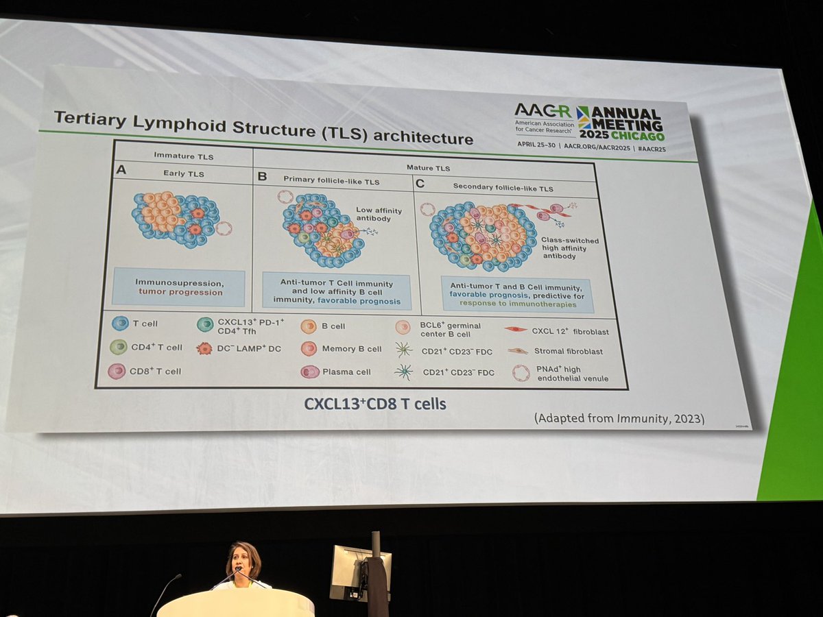 Christine Lovly, MD, PhD, FASCO (@christine_lovly) on Twitter photo Brilliant discussion of #bladdercancer and #TLS during #plenary session today by <a href="/SGoswamiMDPhD/">Sangeeta Goswami, MD,PhD</a>!! As a #LungCancer doc, I have never been as excited about #BladderCancer as I was today after hearing this discussion + prior data from <a href="/juanosoriomd/">Juan C Osorio MD</a>! #AACR25 <a href="/AACR/">AACR</a> Brilliant discussion of #bladdercancer and #TLS during #plenary session today by <a href="/SGoswamiMDPhD/">Sangeeta Goswami, MD,PhD</a>!! As a #LungCancer doc, I have never been as excited about #BladderCancer as I was today after hearing this discussion + prior data from <a href="/juanosoriomd/">Juan C Osorio MD</a>! #AACR25 <a href="/AACR/">AACR</a>
