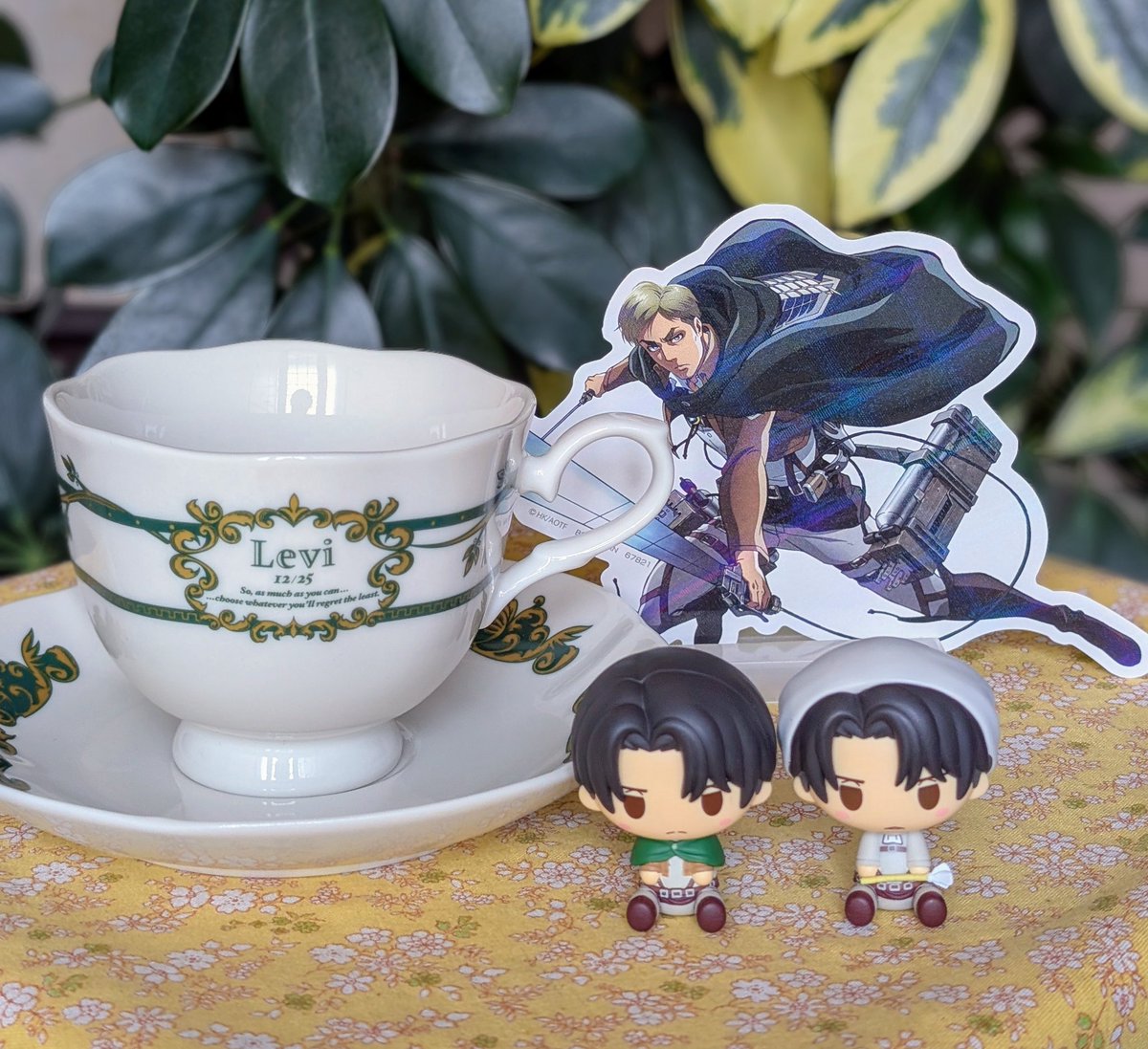 やりました✨✌