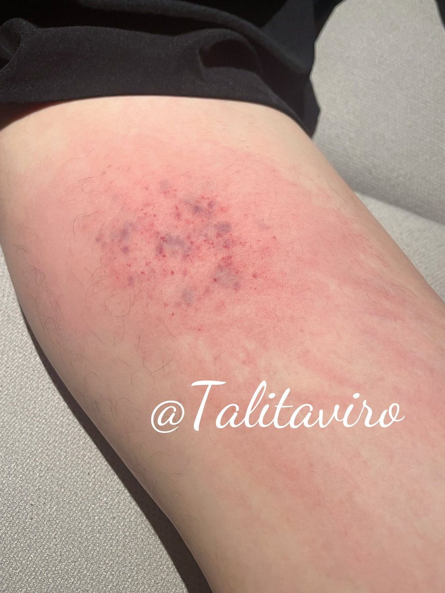 小韩老师 tweet media