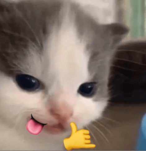 Estaba viendo el vídeo de proyecto escolar del running club y se me hizo bien blanquerrimo pero se que sí volviera a esas andadas acabaría en eso.