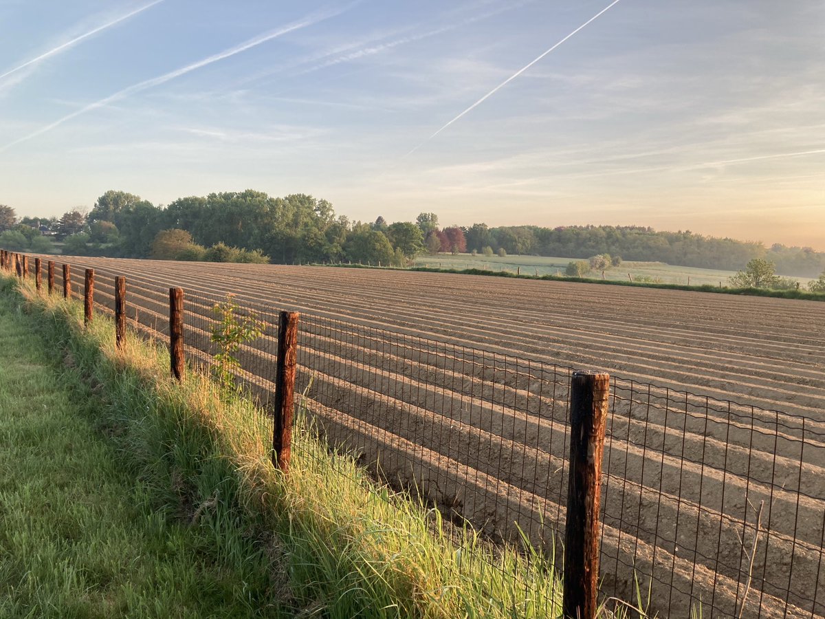 Glorieuze ochtend boven Langerode. Jetlag maakt van zelfs de hardnekkigste langslaper een vroege vogel.