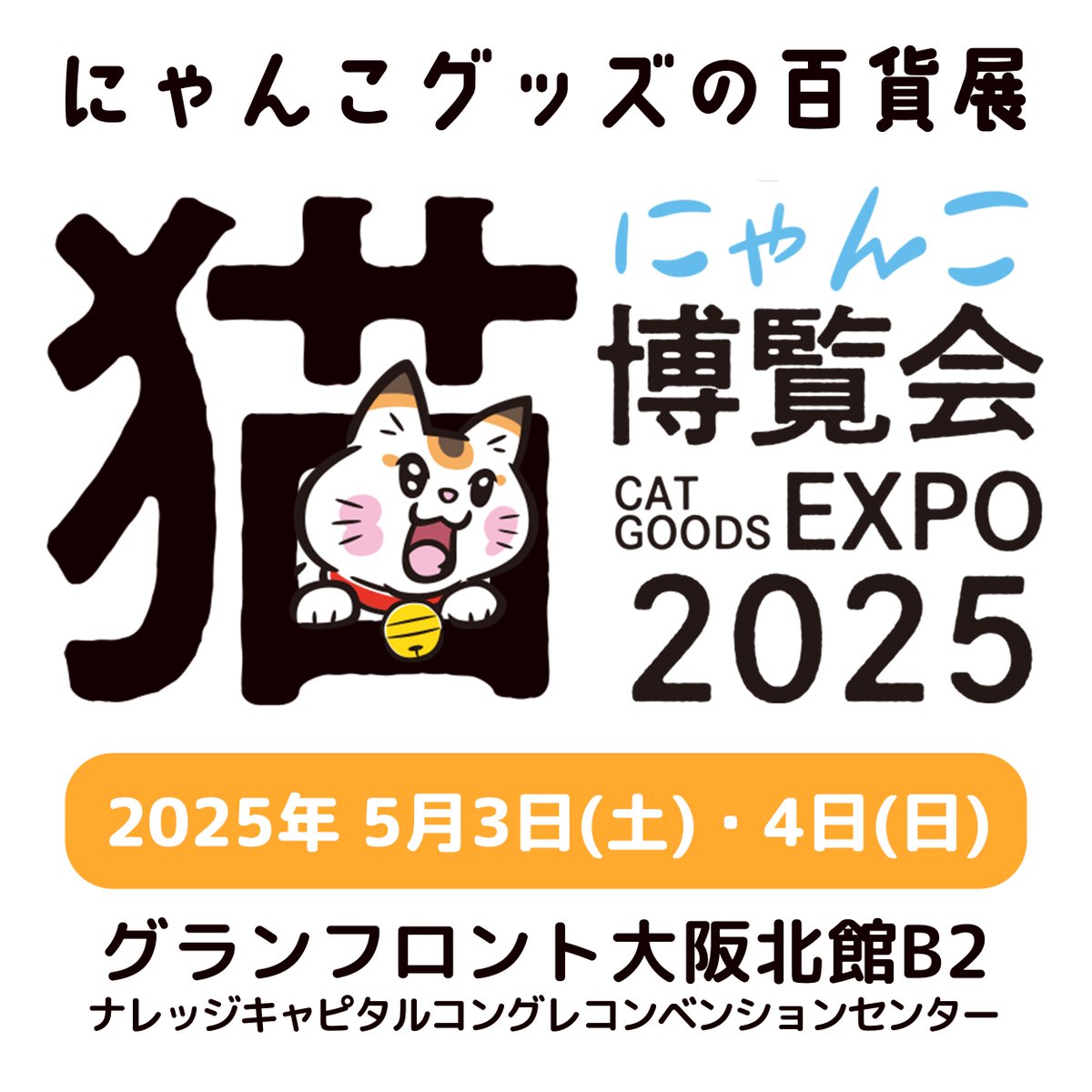 ネコ　大阪 GpwdLyOaYAII027.jpg