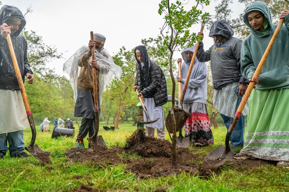 Bohras_USA's tweet photo. This #ArborDay, the @Dawoodi_Bohras of #LosAngeles and #OrangeCounty took action with @CalVolunteers and other community partners for their second #CommunityClimateActionDay.
Through the cold and rain, they planted 30 trees at O'Melveny Park in honor of #EarthMonth—digging deep to preserve nature, purify the air, and build climate resilience.🌳