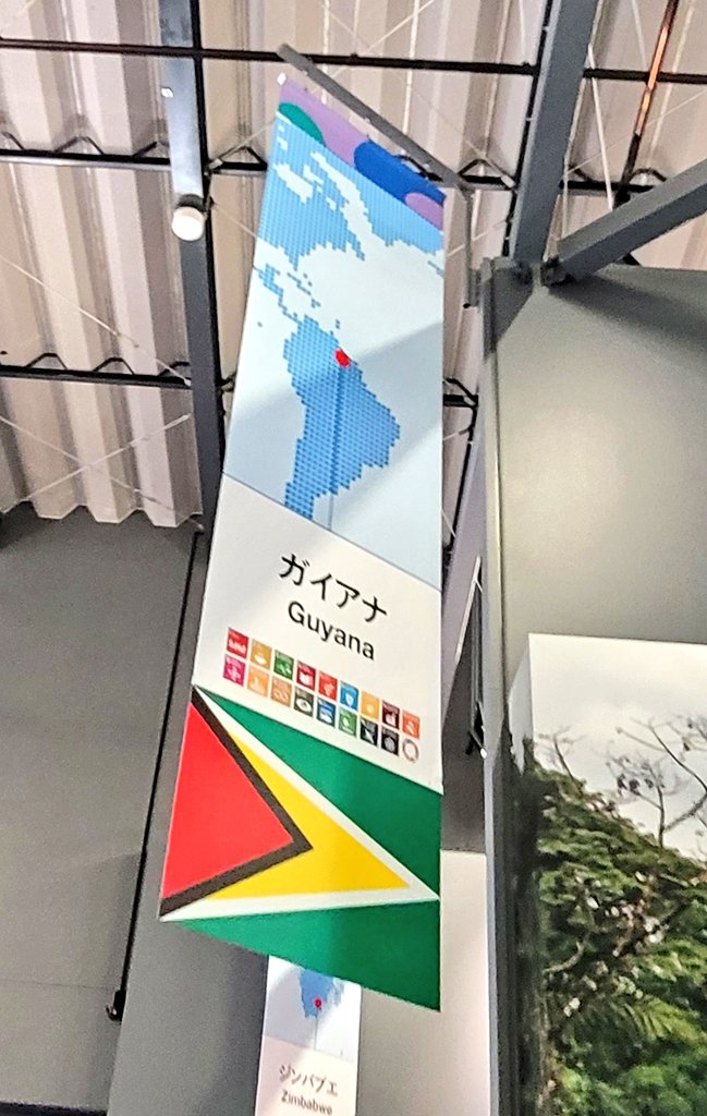 ガイアナに大きいナマケモノ🦥がいた🥰 #大阪関西万博2025 #コモンズB