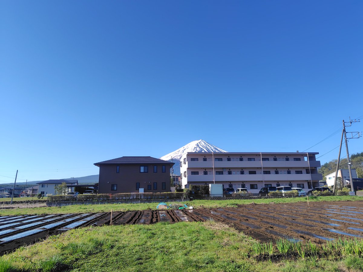 今日は河口湖で仕事👊
普段は見向きもしない富士山だけど、ここまで来るとデカいから眺めちゃう🙃