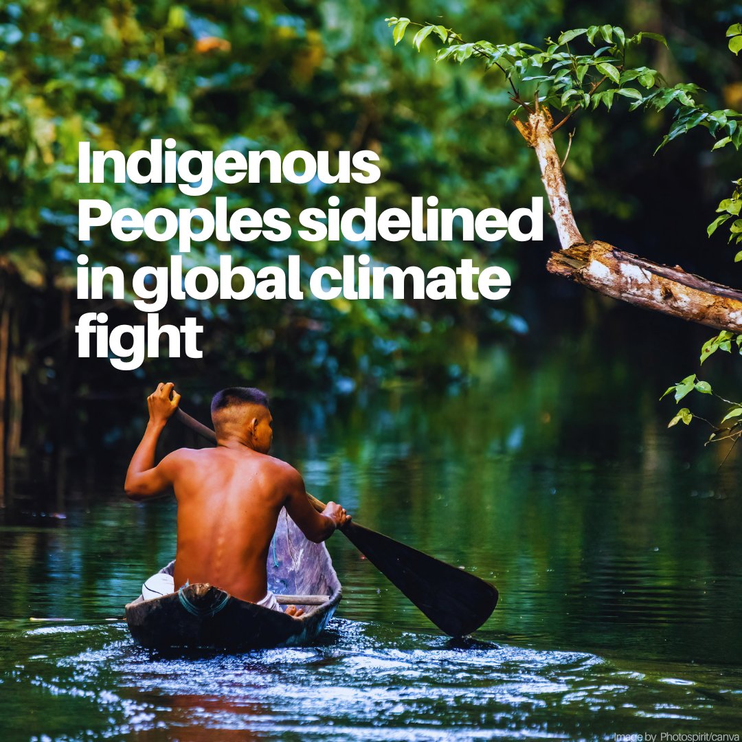 UN Environment Programme (@unep) on Twitter photo Indigenous Peoples have been among the world’s most effective environmental stewards.
Yet, they receive less than one per cent of international climate funding.
A new <a href="/UN/">United Nations</a> report calls for reforms that will benefit these communities.
Via <a href="/UN_News_Centre/">UN News</a> news.un.org/en/story/2025/… Indigenous Peoples have been among the world’s most effective environmental stewards.
Yet, they receive less than one per cent of international climate funding.
A new <a href="/UN/">United Nations</a> report calls for reforms that will benefit these communities.
Via <a href="/UN_News_Centre/">UN News</a> news.un.org/en/story/2025/…