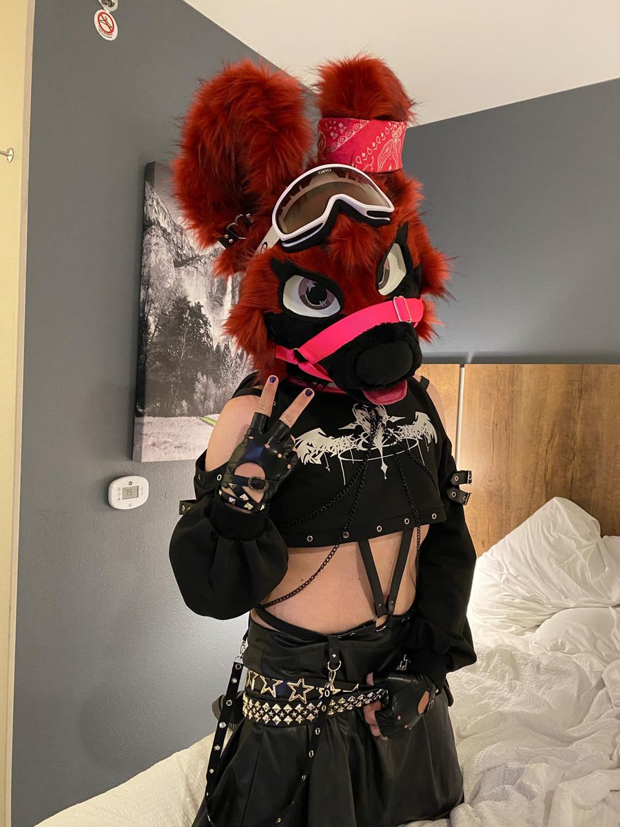 SkylightFurry's tweet photo. Anyone want to come snuggle a cutie. 😘🥰 I promise I won’t bite too hard. #gay #lgbt #lgbtq #furry #furries #furfandom #furryfandom #goth #emo #fursuit #fursuiter #fyp https://t.co/3erg2VwJL4
