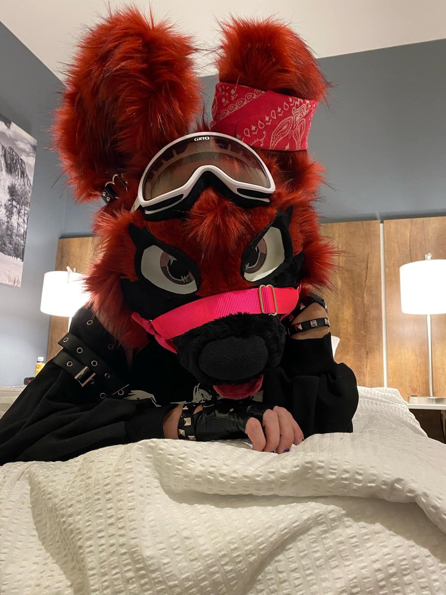 SkylightFurry's tweet photo. Anyone want to come snuggle a cutie. 😘🥰 I promise I won’t bite too hard. #gay #lgbt #lgbtq #furry #furries #furfandom #furryfandom #goth #emo #fursuit #fursuiter #fyp https://t.co/3erg2VwJL4