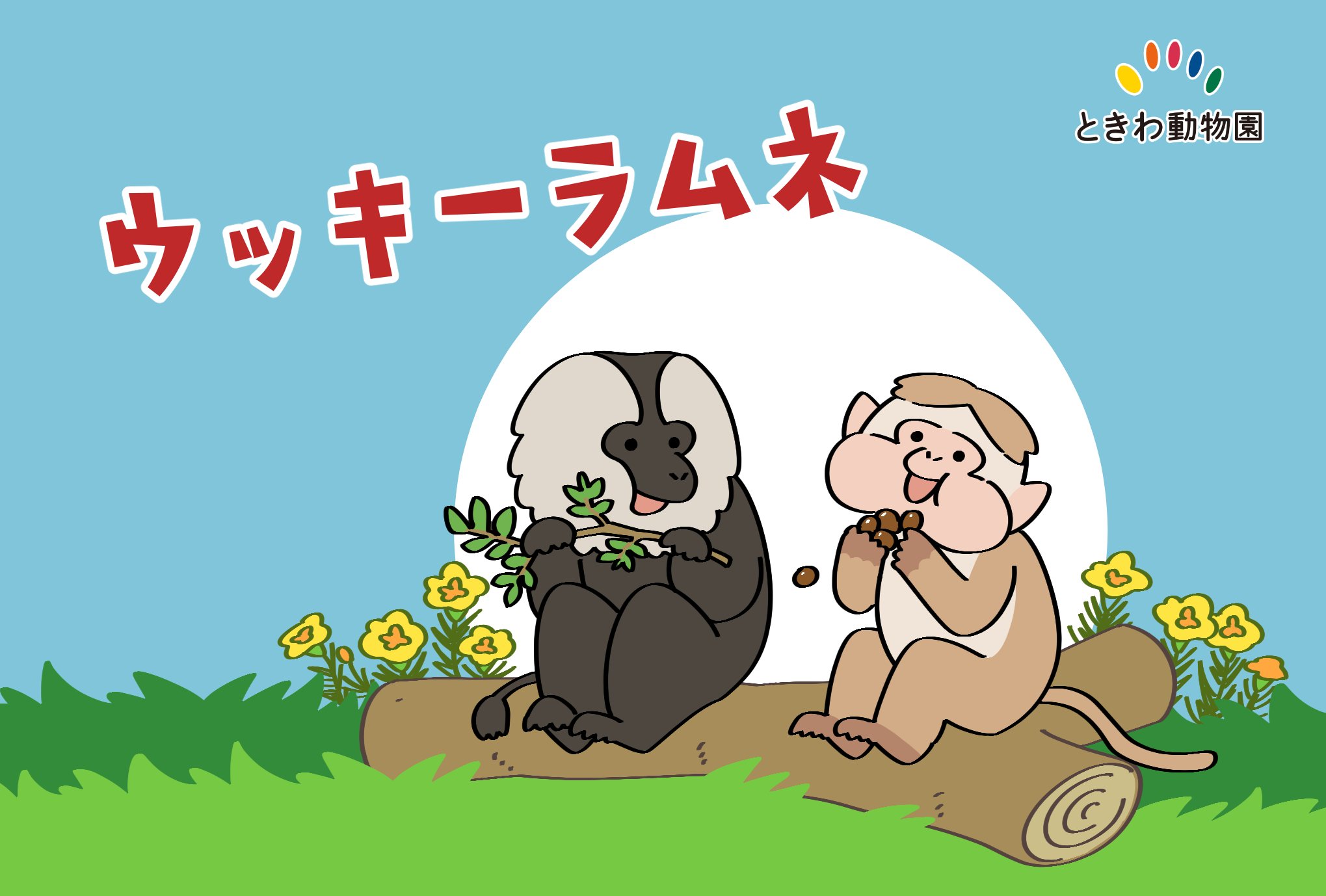 ときわ動物園(公式) (@tokiwazoo) / X ときわ動物園(公式) (@tokiwazoo) / X