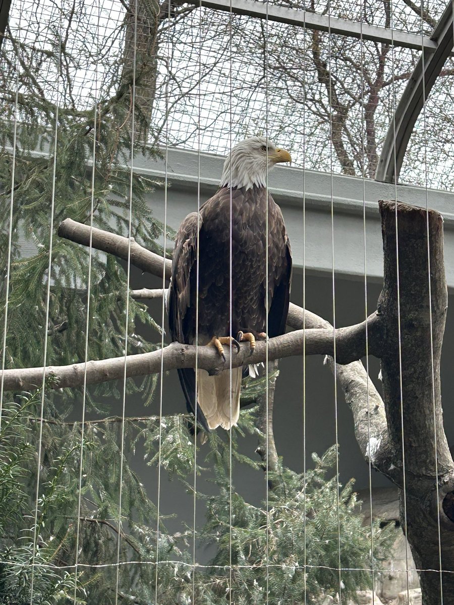 ErikRodLSW's tweet image. Mi vida este mes