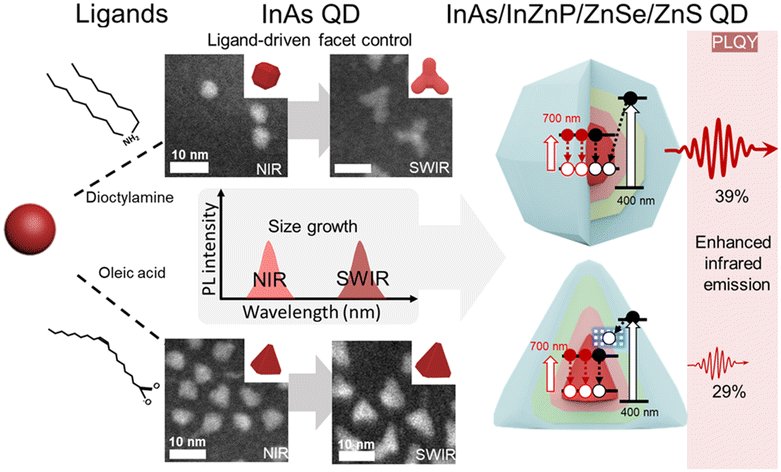 InorgChemFront's tweet image. 🔓#OpenAccess #QDs #PLQY

Check out recent research Ligand-driven facet control of InAs-based quantum dots for enhanced near- and shortwave infrared emission by Hyunjin Cho, Doh C. Lee et al. @kaistpr 

🔗doi.org/10.1039/D5QI00…