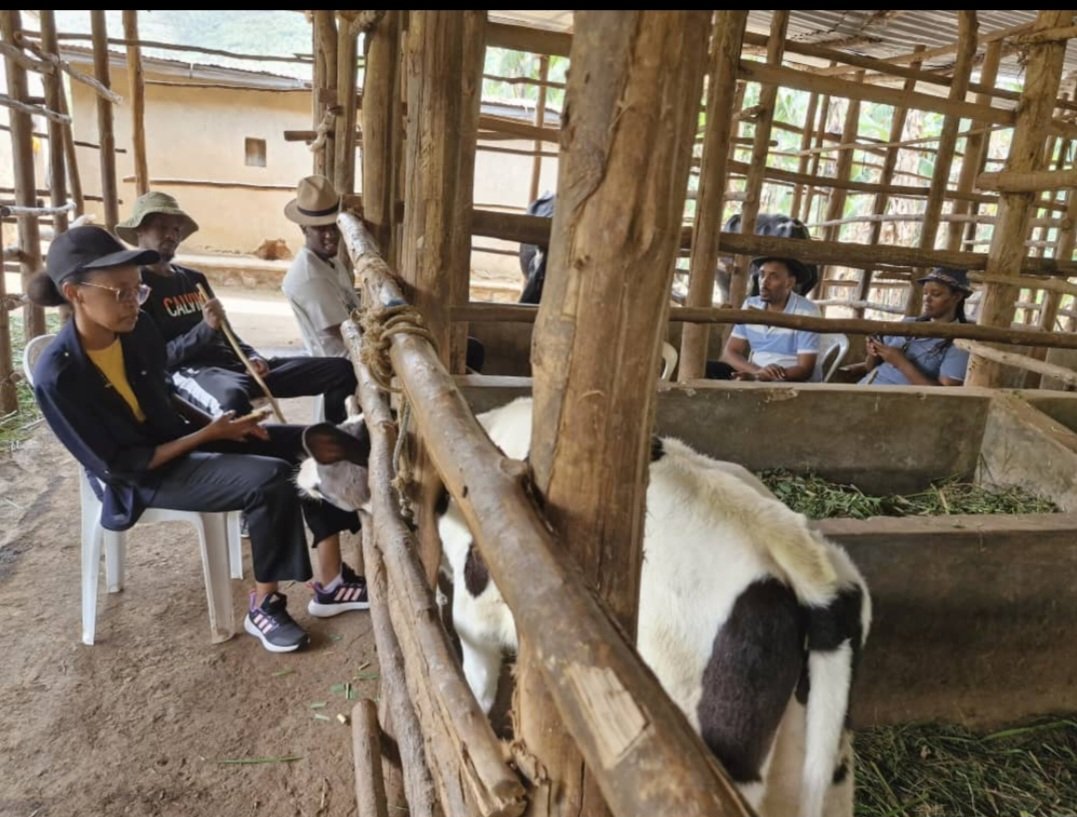 SadateMunyakazi's tweet photo. #KWIBUKA31
Amasaha nk'aya mu myaka 31 ishize izuba ryari rirashe, umunsi wasaga nk'indi, wari wuzuye agahiri n'agahinda ariko nari mfite umuryango, sinitwaga imfubyi gusa ntago natekereza ko mu masaha macye ari imbere umunsi uhinduka ikibunda ugacura umwijima udashira mu MUTIMA wanjye.
Ku munsi nk'uyu, 30 Mata 1994 mu myaka 31 ishize mwishwe urwagashinyaguro, Intagondwa z'Abahutu zishe kandi zitsemba umuryango wanjye mwiza,
Mu gihe twibuka Abatutsi bishwe muri Genocide yakorewe Abatutsi, mumfashe kwibuka umuryango wanjye wishwe kuri uyu munsi.
Ndibuka Data Nyamwasa Faustin, Mama Mukamutara Asselle, mushiki wanjye Mugeni Yvette, Marume Bizimungu Pierre Célestin n'abana be bane Fils, Mimy, Macabiri na Mamy, Marume Habimana Thomas, Mama wacu Ntakimuruta Marie Aimé ndabibuka.
Mfite Ubuzima kuko INKOTANYI zampaye Ubuzima, umutekano, igihugu n'uburenganzira bwo kubaho ntuje kandi ntekanye.
Ku myaka 12 nabaye umukuru w'umuryango wari urokotse, umuryango wari wuzuye agahiri n'agahinda, byatumye ngira amahitamo,
nahisemo kuba Umugabo uharanira ukuri akanga ikinyoma, nahisemo kubahesha agaciro ni makaza kirazira mwantoje ari nazo nasanganye Inkotanyi mwambwiraga, sinzaba umuhemu, igisambo cyangwa ikirura.
Nabashije kubabarira kuko mwantoje urukundo, niyubatse uko nshoboye nubwo mutari muhari ngo mu ngire inama, ingabo mu bitugu cyangwa se ngo nterwe ishema ryo kubitura ineza mwangiriye.
Génocide yakorewe Abatutsi ni amahano ndenga kamere u Rwanda n'Isi byagize, gusa ntizongera kubaho ukundi.
Nabonye ababyeyi @PaulKagame na @FirstLadyRwanda bahekeye u Rwanda, mbona abavandimwe muri @rpfinkotanyi, YVETTE yasimbuwe na @EgidieBibio , erega shenge navuyemo n'umugabo wabyariye u Rwanda sinabyariye Umuhoro cyangwa ubuhiri nkuko byabagendekeye, Umugore mwiza Imana yampaye ababera hose, abana bo mpora mbabwira icyo mwakundaga, NTIMUZAZIMA.
Amashyo narayagaruye ubu nongeye kuba Umutunzi nyuma yo kurwara UBWORO, inshuti ndazifite nubwo bigoye kumenya iz'ukuri! Sintinya URUPFU kuko INKOTANYI n'Ubuzima, ndaryama nkasinzira kubera Abasore n'inkumi beza barinze u Rwanda, Umutekano ni wose i Rwanda, erega shenge dusigaye tuwusagurira n'amahanga, si nka cya gihe bwacyaga mutaziko buri bwire.
GÉNOCIDE yakorewe Abatutsi ntizongera kubaho ukundi.
UDUFOTO DUCYE nabashije kubona.