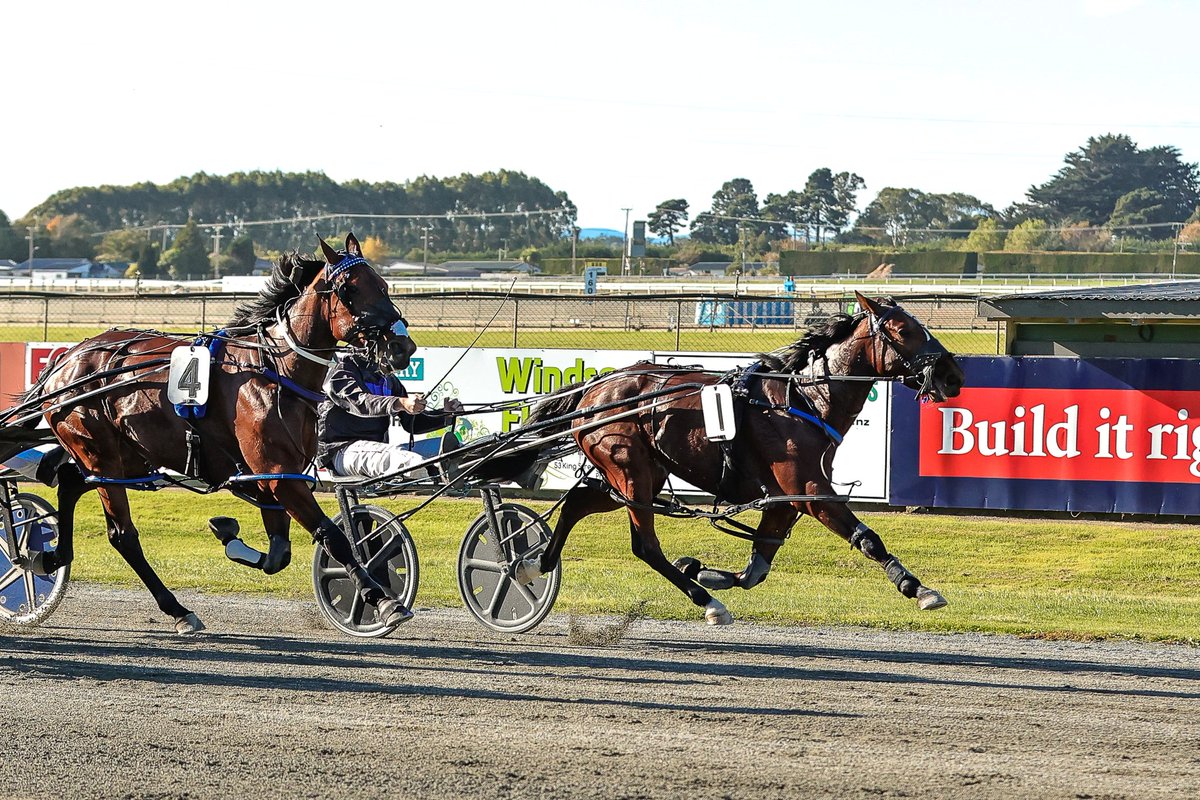 nzbstandardbred's tweet photo. Promising Filly Pegs Southern Group Two Oaks To Her Record

Enigmatic filly #DelightfulPeg (NZ) (Bettor’s Delight) brought her manners to Ascot Park on Sunday when securing an all-important stakes scalp in the Group Two Nevele R Stud/Macca Lodge Southern Oaks Final (2200m). 💫

Delightful Peg was offered through Barron Bloodstock's 2023 NZB Standardbred National Yearling Sale draft where she was purchased for $20,000.🤝

Read more here 📰: https://t.co/sJZGyFfC8b