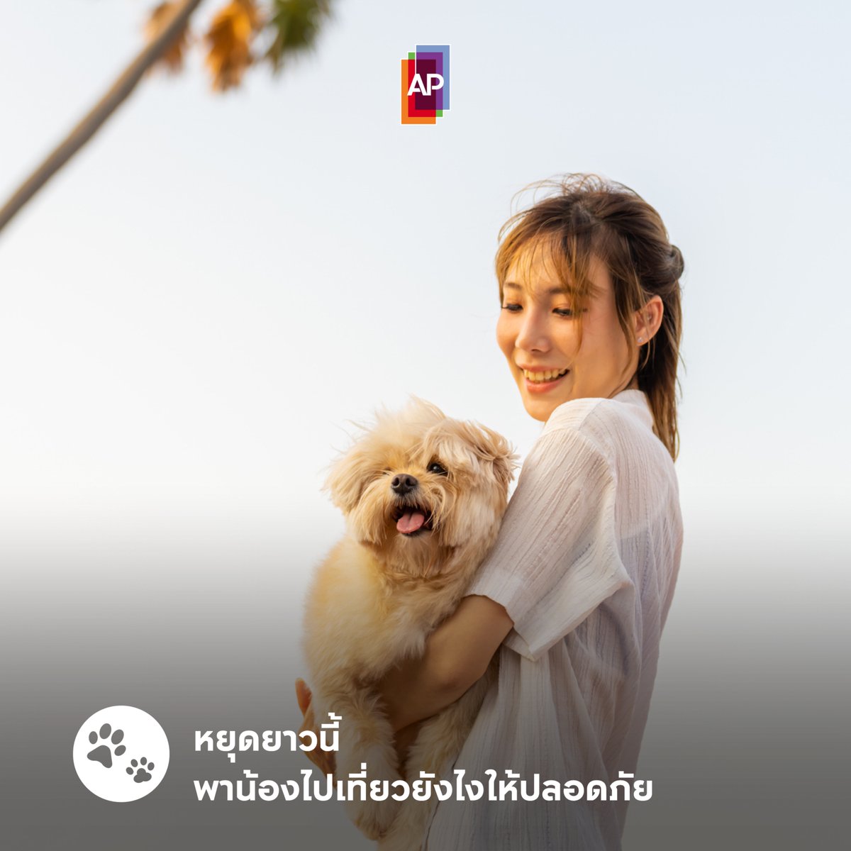 🧳พาสี่ขาเที่ยวยังไงให้น้องๆ ปลอดภัยตลอดทริป ไปดูกัน✅

🐶ถ้าเขาเห่าเยอะเพราะเครียด ให้พาไปผ่อนคลายในที่เงียบๆ
🐶ถ้าเดินทางไกล อย่าลืมเตรียมอาหารให้พร้อม
🐶ติดป้ายชื่อ/ฝังไมโครชิป เผื่อพลัดหลงกัน

Source: https://t.co/erkDpXvQiw, https://t.co/00KmHxSVJb

#APThai #ชีวิตดีๆที่เลือกเองได้ #APLivingseries