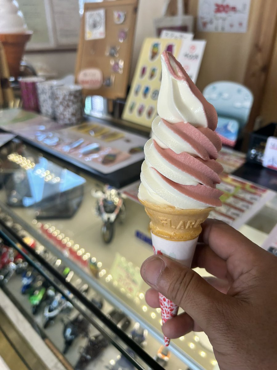 じゃんけん横は満開🌸