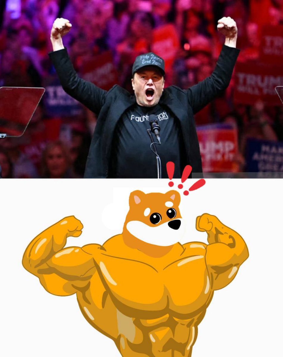 There is only one legit BabyBonk on the Bonk Platform whose CA ends up with Bonk(Daddy’s name)

Don’t fall for fake ones which just wanna cash the hype, were dead from ages and now fudding us with paid fuds!

We will comeback stronger than ever🔥

WOOF WOOF WOOF $BABYBONK