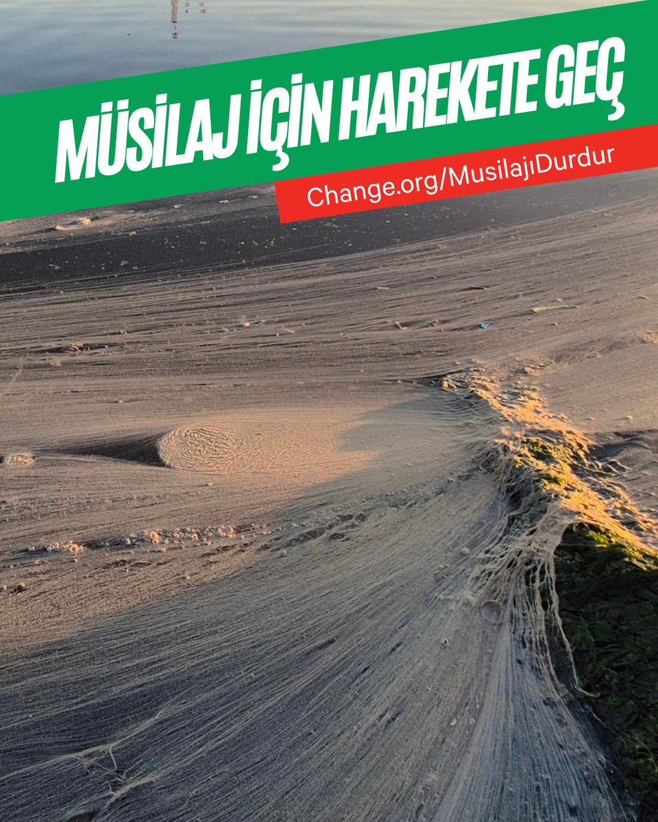 Marmara Denizi boğuluyor. Müsilaj Marmara’nın farklı kıyılarına yeniden yayılıyor. Ve bu sefer daha sessiz, daha inatçı ve daha kalıcı.

Değişim Elçileri Marmara ekibi, “Müsilaj yayılmasın. Marmara yaşasın!” talebiyle bir imza kampanyası başlattı.

Marmara Bölgesi'nin çevre