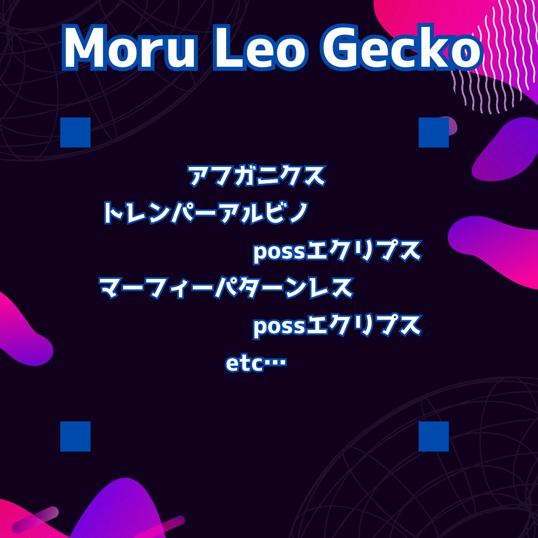 LUCKUP_yosshi's tweet photo. ✨🔈 ̖́-レ オ パ ー テ ィ ー 🔈 ̖́-✨

ブリーダー様方からリストが届きましたので、
載せていきます🎶
出会いは一期一会ですので、皆様お見逃し無く🫰

■ Moru Leo Gecko 様

そして、この日限定の特典‼️‼️
お迎えされた方にはレオパーティーの
ステッカーをプレゼント🎁(ブース関係なく！)
背景がクリアなので、色んなカラーレオパを作っちゃってください🎶
レオパ好きの皆様のご来店お待ちしております😍

LUCK UP 店内 コラボイベント
レオパ好きよ集まれ！！
>>>>レオパーティー>>>>
開催日：2025年5月4日(日)
場    所：LUCK UP Reptiles店内
時    間：12:00～17:00

#レオパ #レオパードゲッコー #レオパーティー