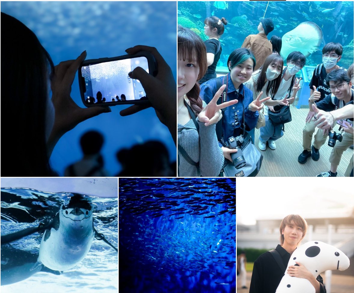 MeijoRisya's tweet photo. 【🐬水族館イベント 本日まで‼️】
水族館新歓イベントの募集が本日までです‼️

理写の雰囲気知りたい人！迷ってる人！
ぜひ参加ご参加ください🙌

日時:5/11 13:00～16:00
費用:1500円(通常2030円)

新歓グループのノートからスタンプを押して完了✨

まだグループ入ってない方はお声掛けください🍀 https://t.co/lHsCggRq7v