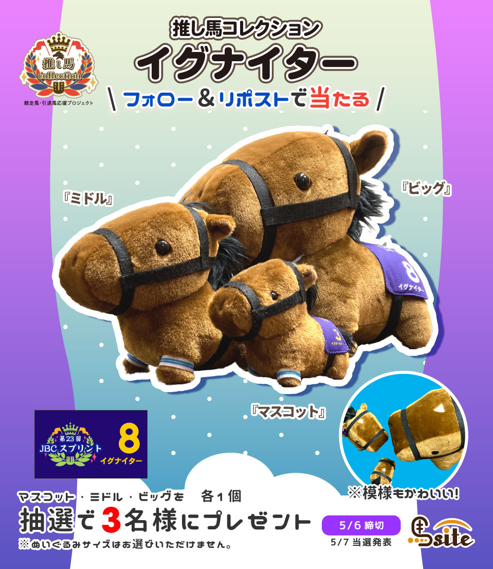 馬site(ウマサイト) (@umasite2022) on Twitter photo 馬site大賞典 第2弾は #イグナイター の #JCBスプリント ゼッケン着用「ビッグ」「ミドル」「マスコット」のぬいぐるみを1名ずつ、合計「3名様」にプレゼント!🎁
約2年ぶりに地元 #兵庫大賞典 に出走する、イグナイターのぬいぐるみをゲットしよう!
【応募方法】
①馬site( <a href="/Umasite2022/">馬site(ウマサイト)</a> 馬site大賞典 第2弾は #イグナイター の #JCBスプリント ゼッケン着用「ビッグ」「ミドル」「マスコット」のぬいぐるみを1名ずつ、合計「3名様」にプレゼント!🎁
約2年ぶりに地元 #兵庫大賞典 に出走する、イグナイターのぬいぐるみをゲットしよう!
【応募方法】
①馬site( <a href="/Umasite2022/">馬site(ウマサイト)</a>