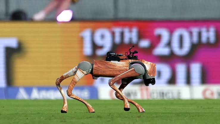 Why IPL’s Robot Dog Champak Is Trending – Full Story Inside