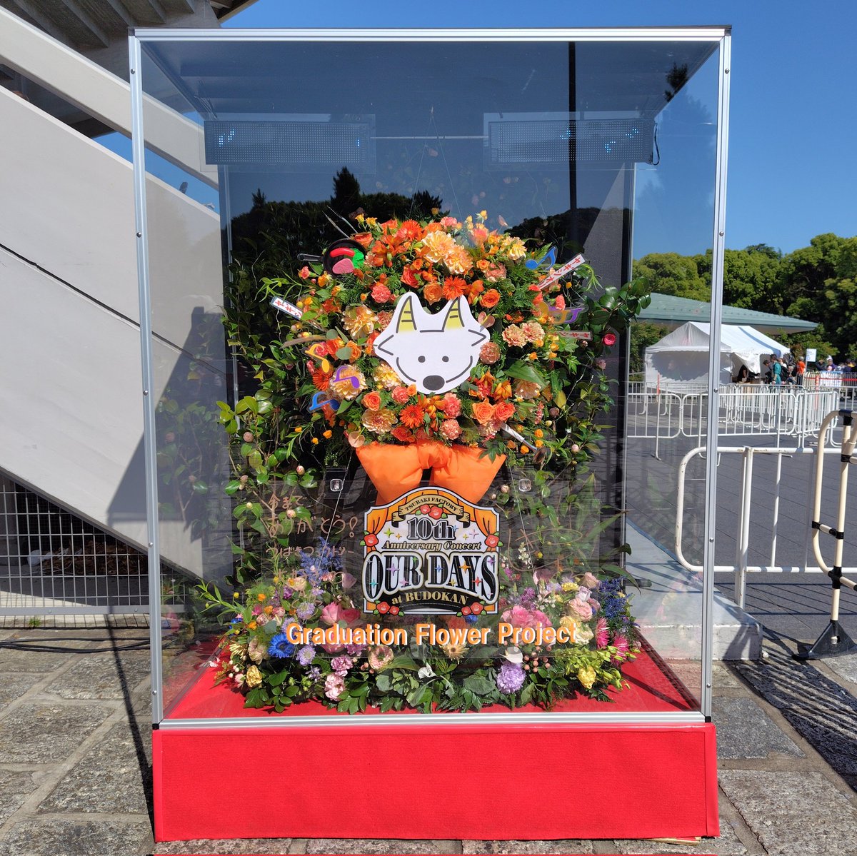 syunya_majtbor's tweet photo. 本日のスタンド花です!
#つばきファクトリー
#あつまれつばき武道館
#ヤギシオリラストコールチャンス
#八木栞
#GraduationFlowerProject https://t.co/LzwN7jdYbj