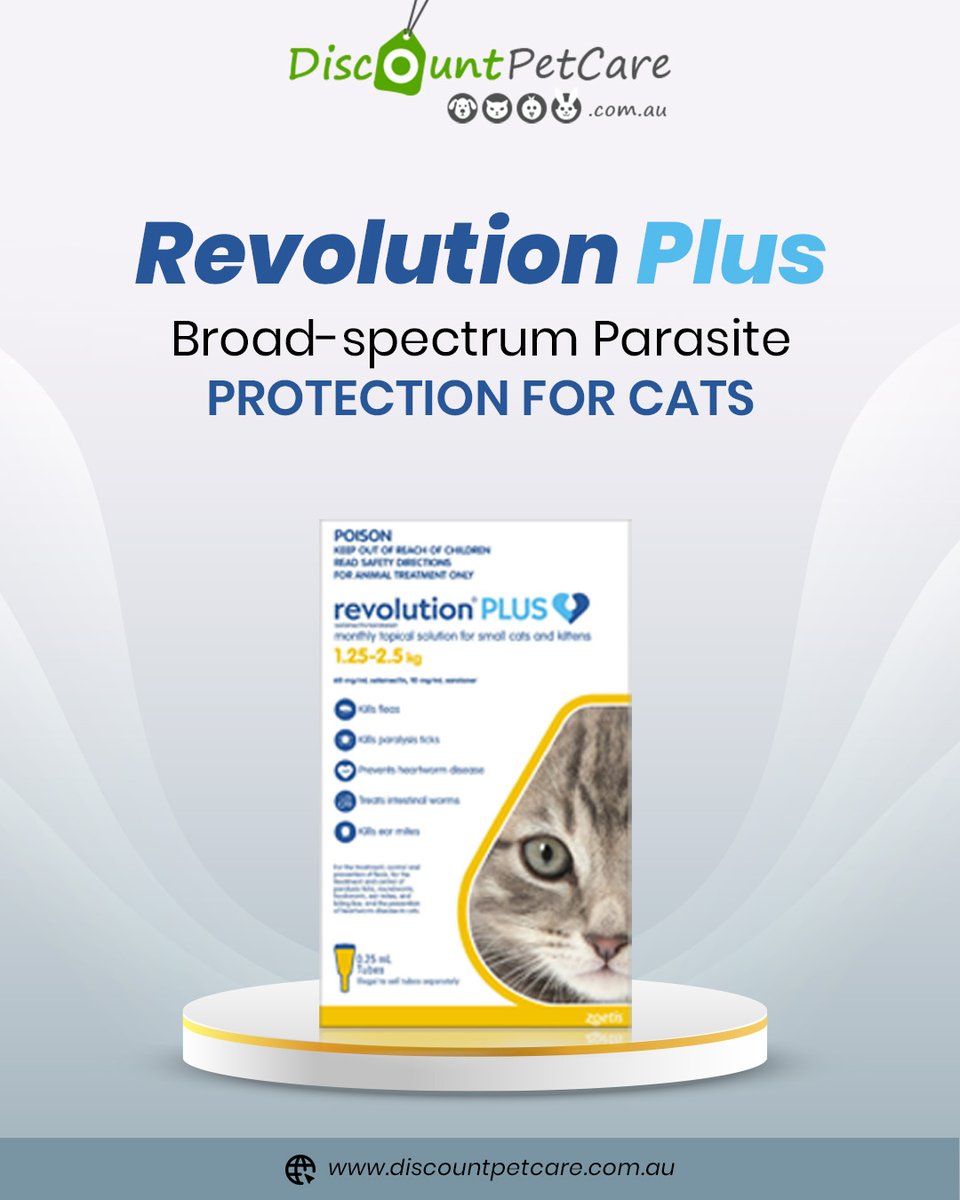 DiscPetCareAU's tweet image. 🛡️ Broad-Spectrum Protection for Cats! 🐾

Revolution Plus offers powerful 6-in-1 parasite protection to keep your cat safe from fleas, ticks, mites, and more. 

👉 Read more: bit.ly/4lUxw98

#RevolutionPlusForCats #CatHealth #FleaAndTickControl #ParasiteProtection