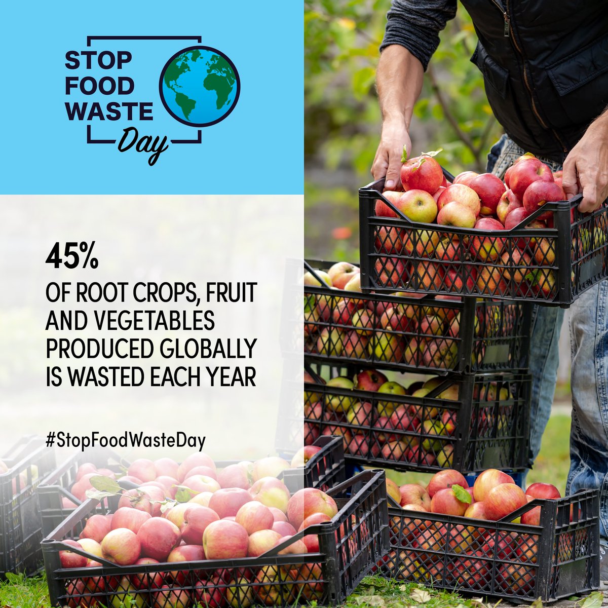 🌍 #StopFoodWasteDay | Wednesday 30 April

<a href="/EssexFood/">Essex Food</a> are committed to reducing food waste every single day - from smart portioning to sustainable sourcing, we’re making every bite count.

<a href="/_StopFoodWaste_/">Stop Food Waste Day</a> | <a href="/EssexFood/">Essex Food</a> | <a href="/UoE_Sus/">UoEssex Sustainability 🌳🦆🌍</a>

#littlechoicesbigchanges #stopfoodwaste