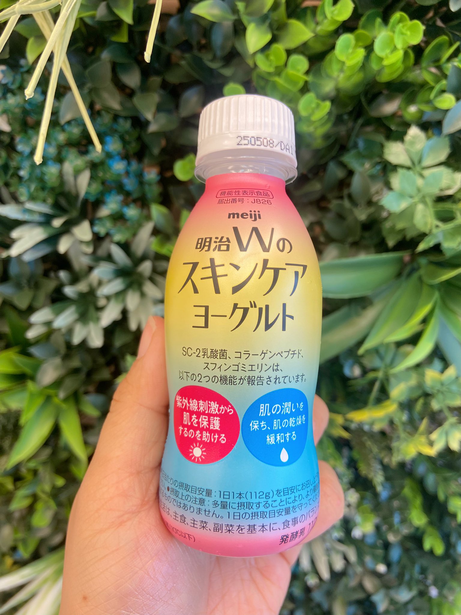 毎日の健康サポートに！「わたしのチカラ®Q10 ヨーグルト」を