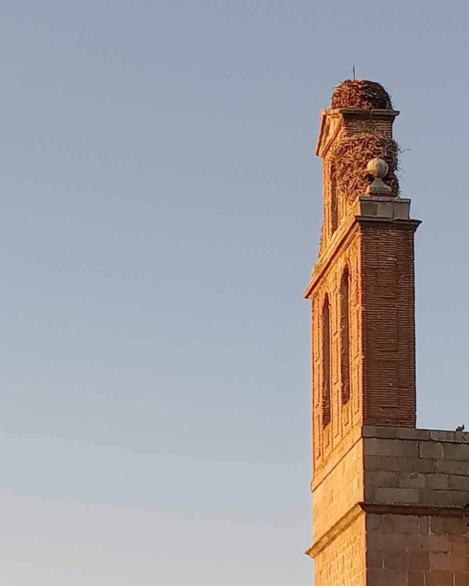 "...y la tersa luz de junio,
que se alarga hasta abrazarme"

Fernando Alda 

Ínsula Barataria: Almenaras de sombra, 9 insulabaratariaa.blogspot.com/2025/04/almena…