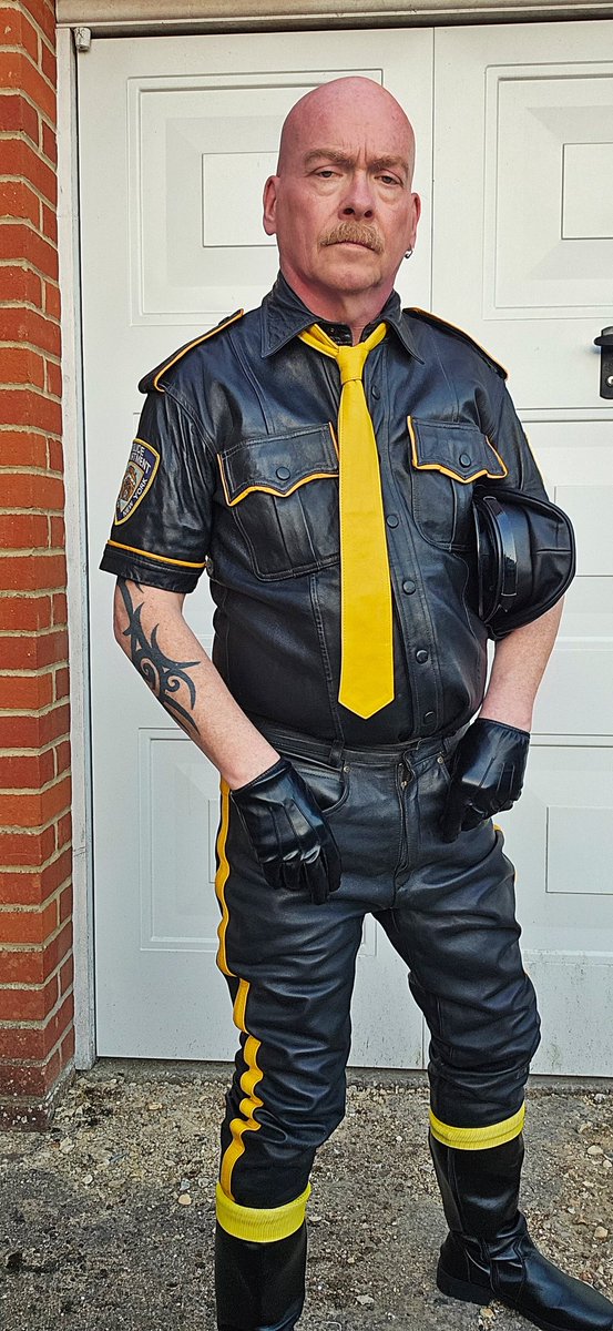 wethide's tweet image. Back in the hide...